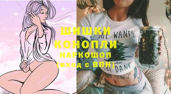 шишки Баксан