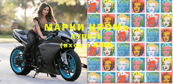 шишки Баксан