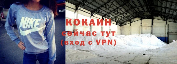 шишки Баксан